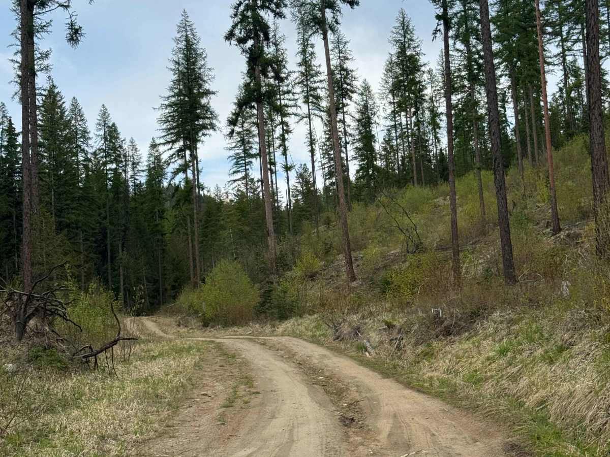 Graves Mountain Road photo 5
