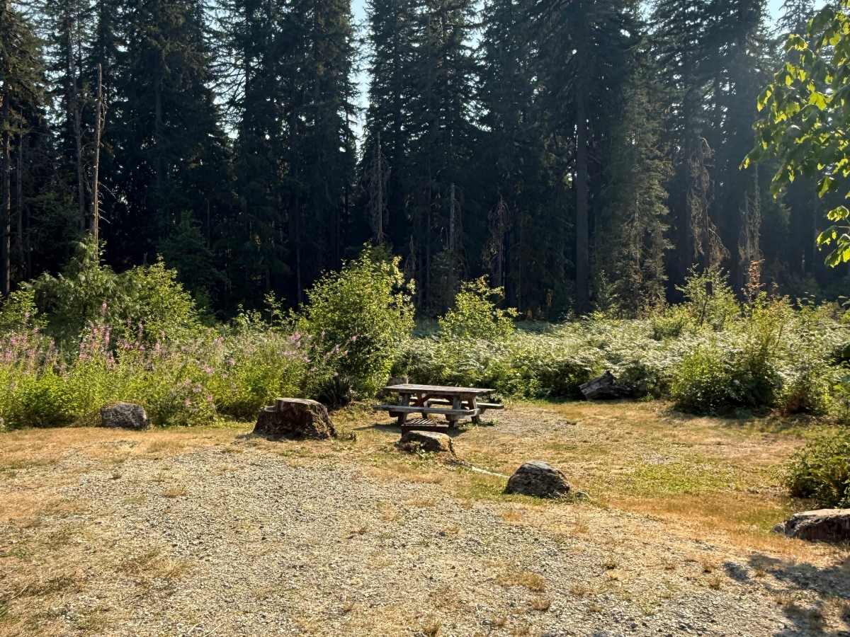Park Creek Campground photo 2