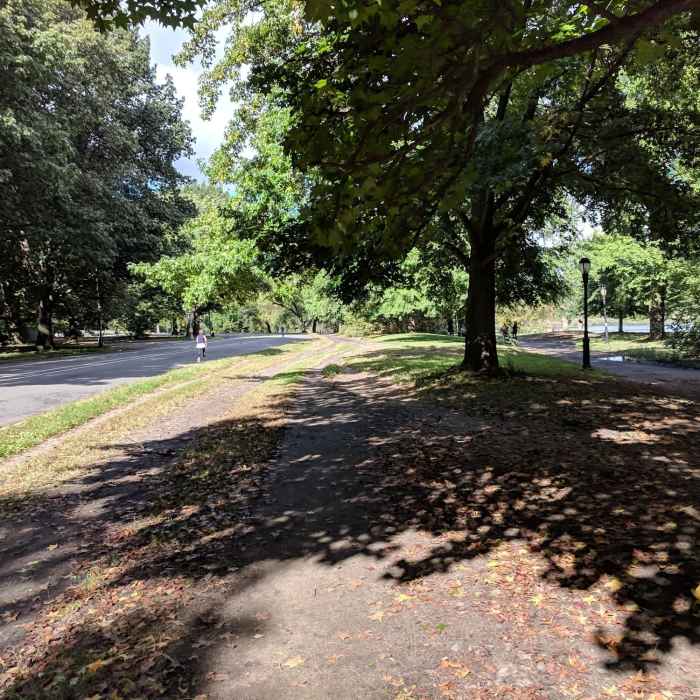 Near Prospect Park Trail Loop