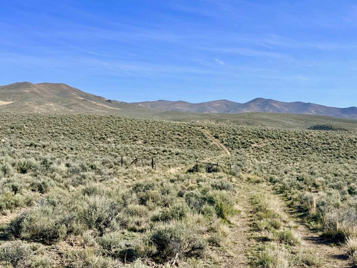 Bade Creek Bypass - FS 43224 trail photo