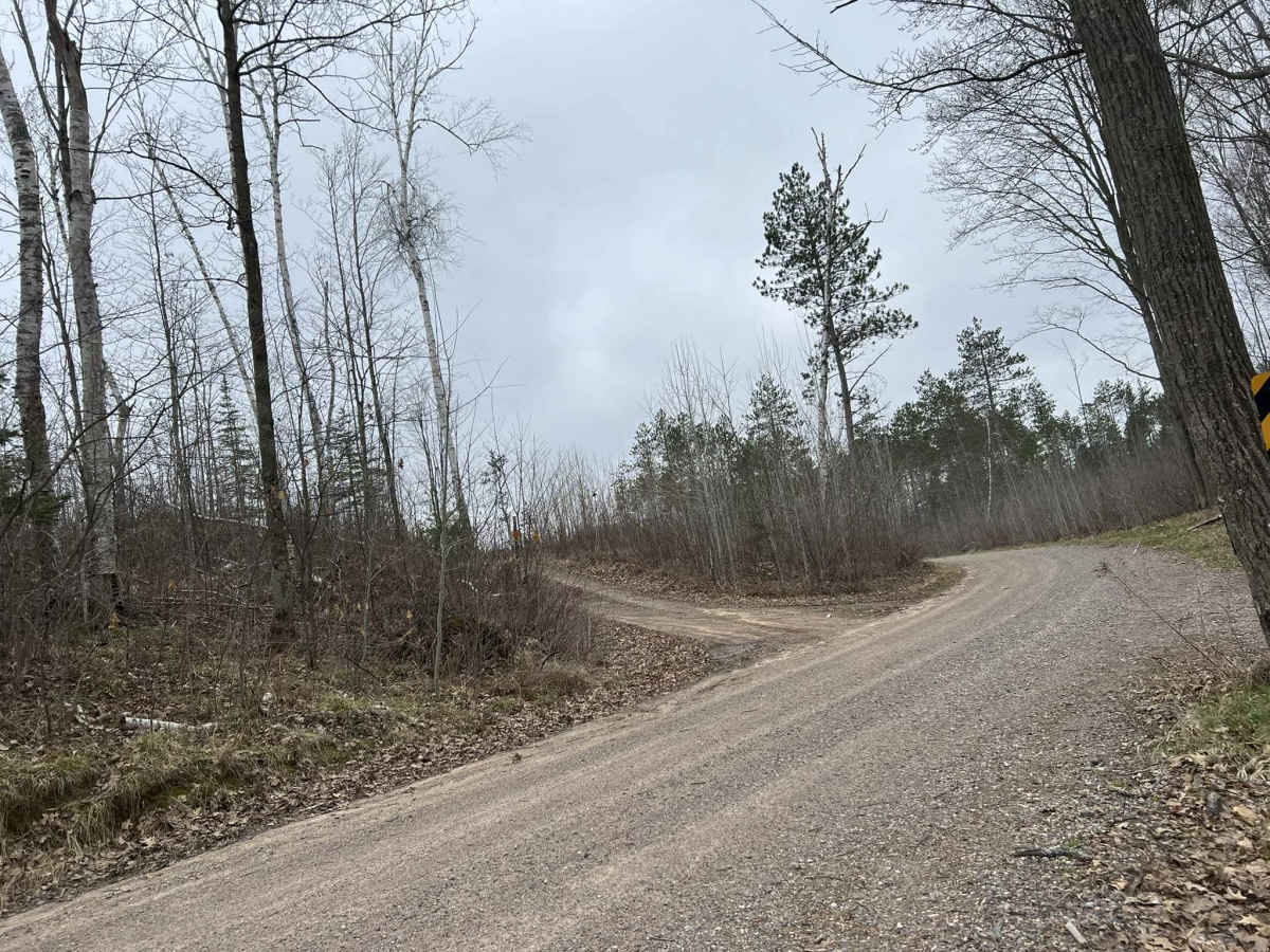 Saul Springs Road - FS 2336 photo 5