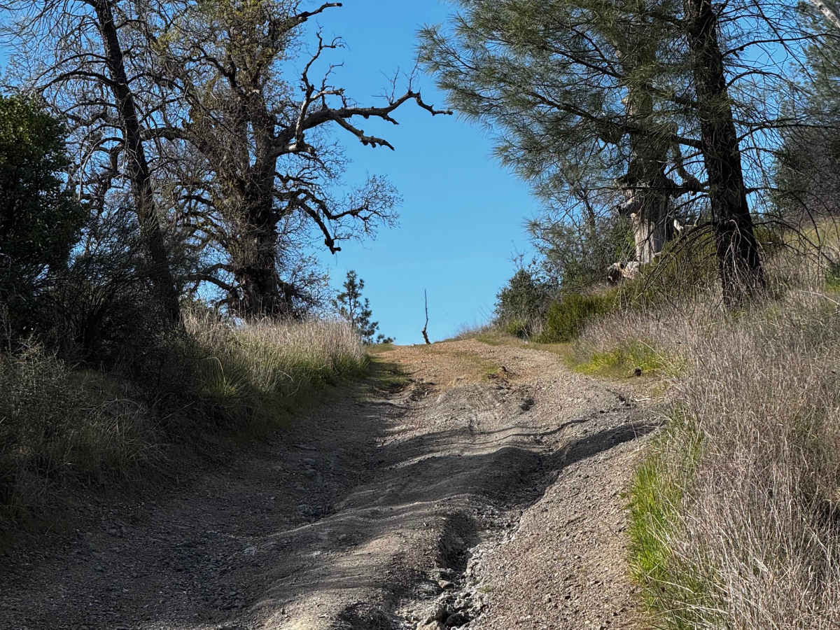 Grouse Springs-Bear Creek Connector photo 5