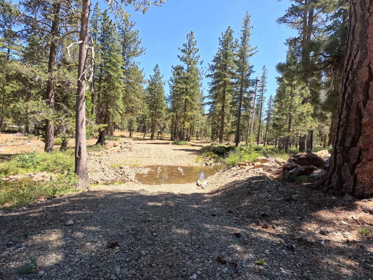 East Cabin Meadow Spur A - FS 41N04A trail photo