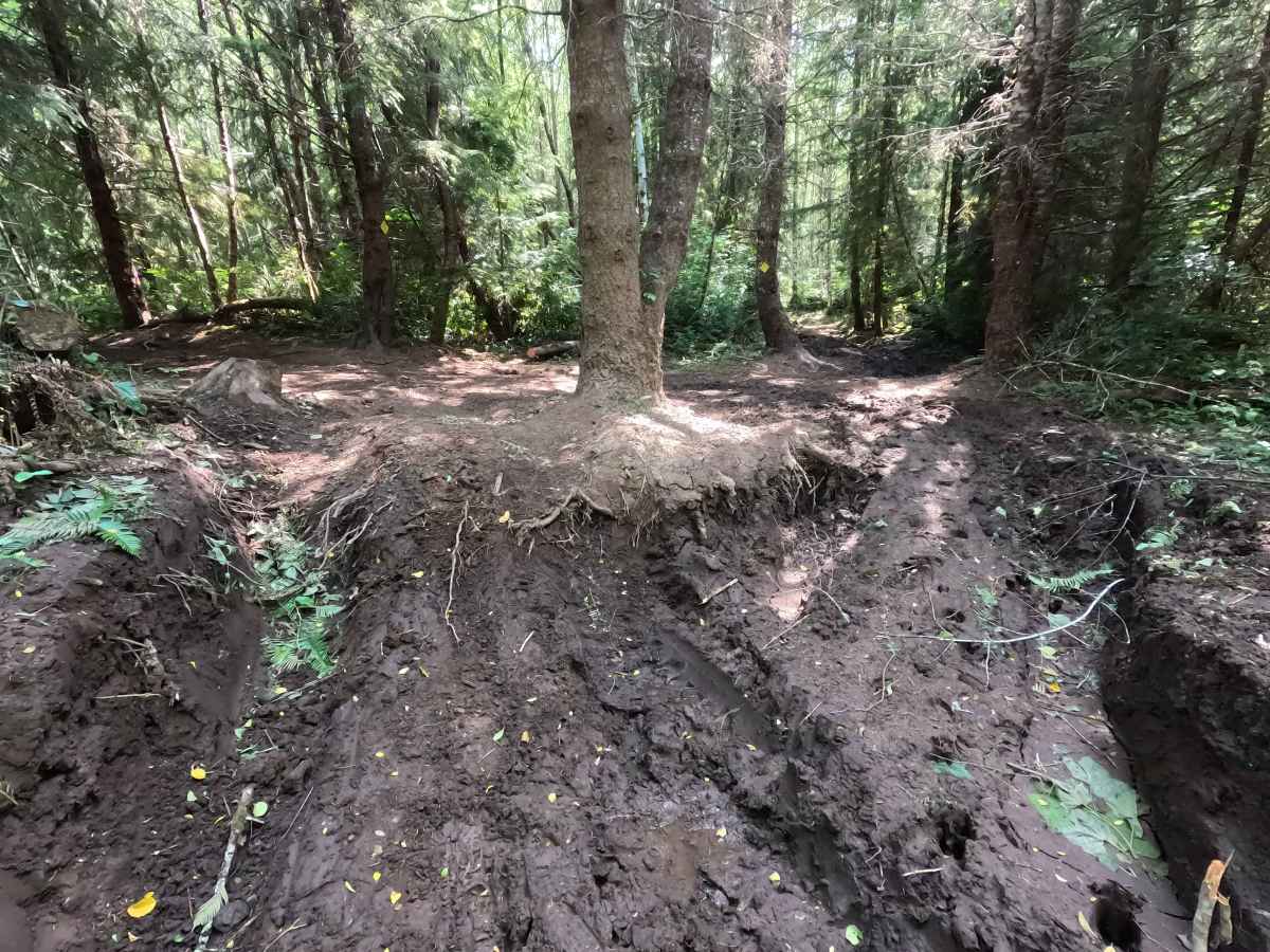 Sasquatch Hills Trail trail photo