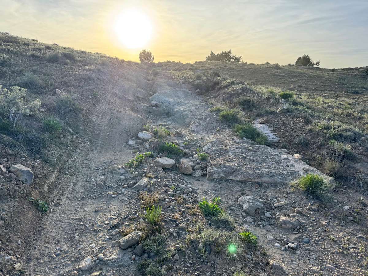 Cactus Rat Hills photo 6