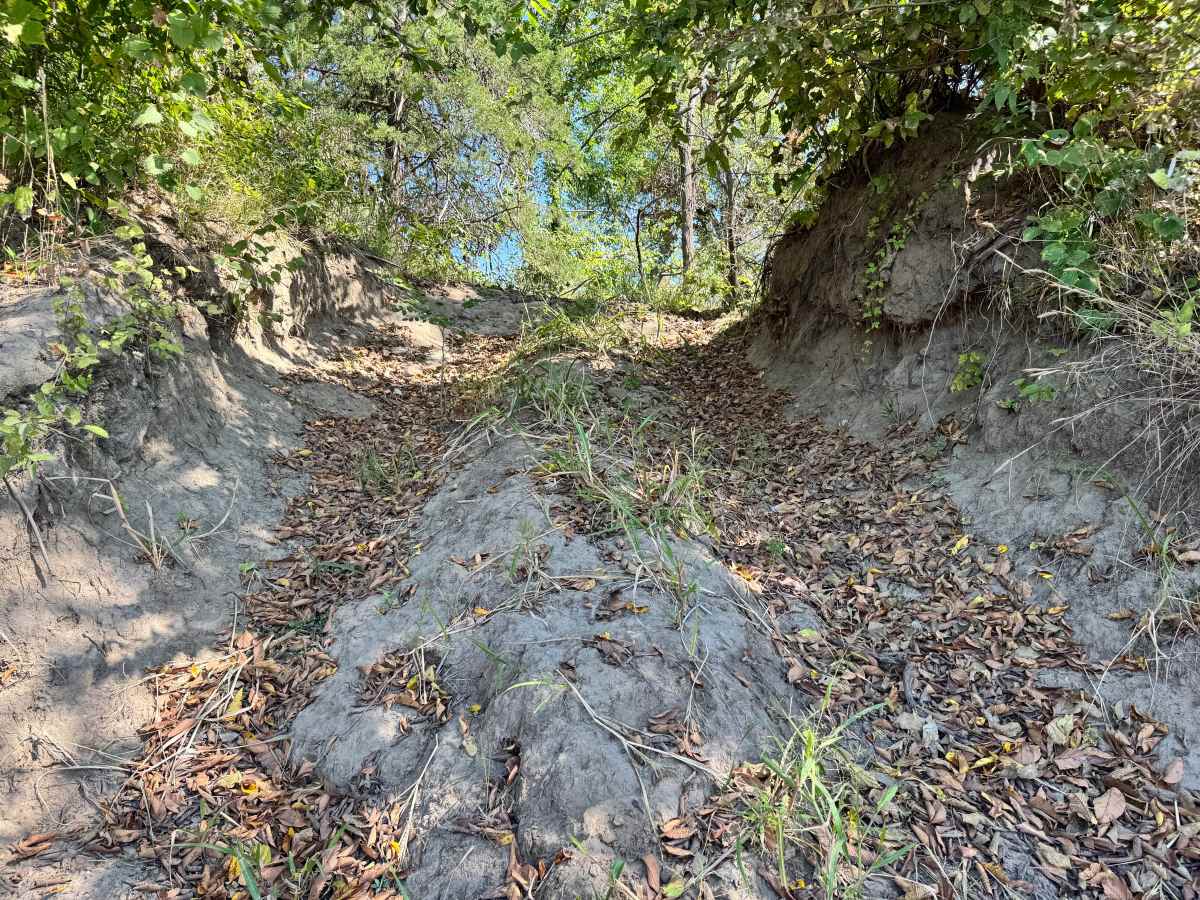 PTO Hill photo 5