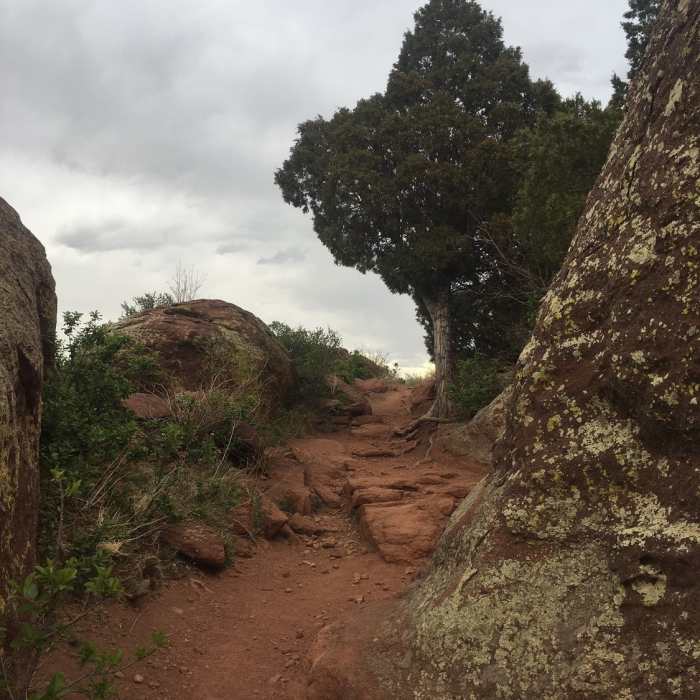 Near Morrison Slide Trail