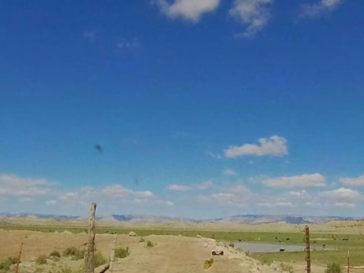 BLM 402 photo 5