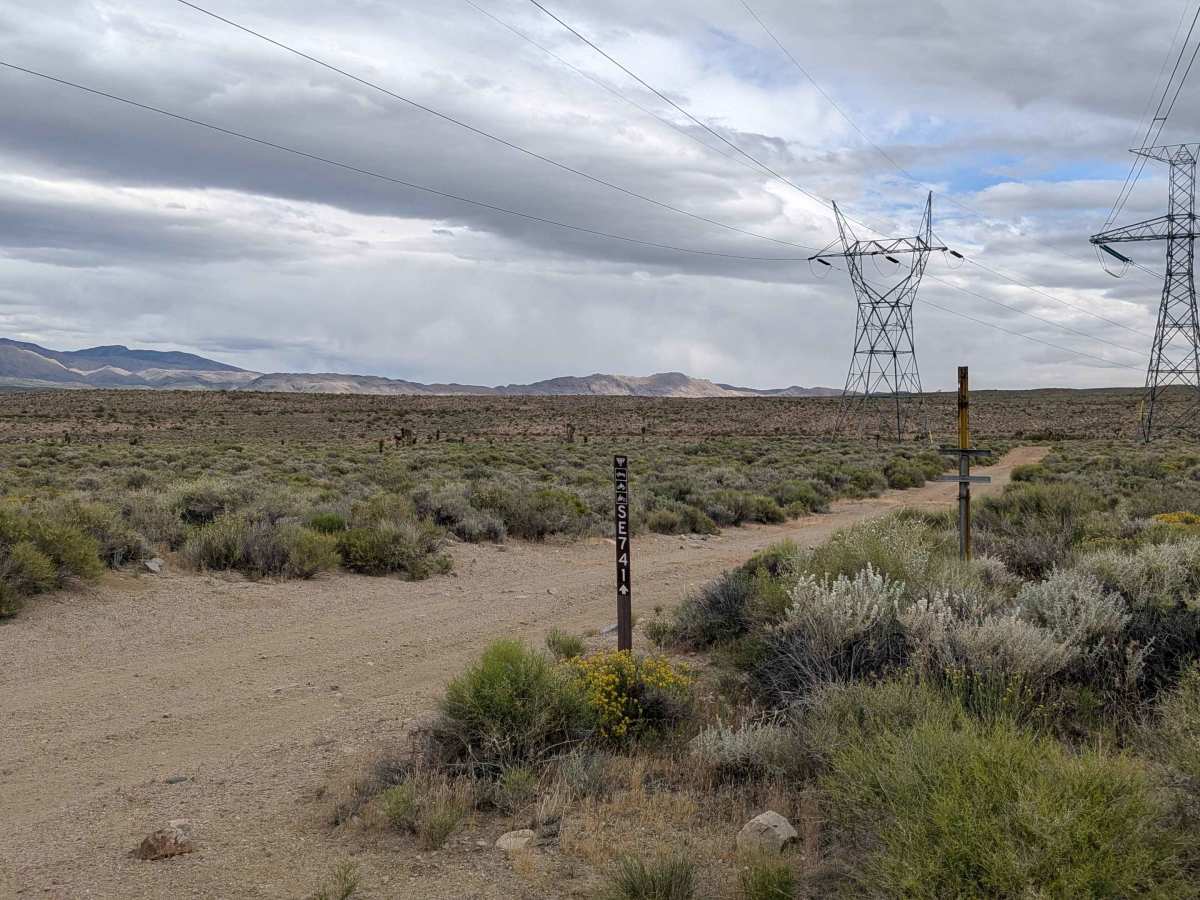 BLM SE741 photo 5