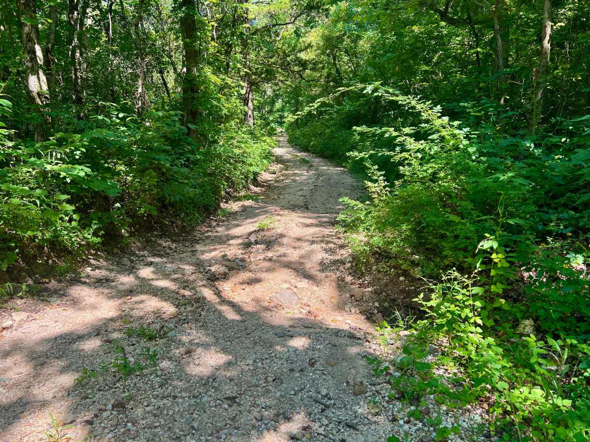 Horse Hollow - SCR 319A photo 6