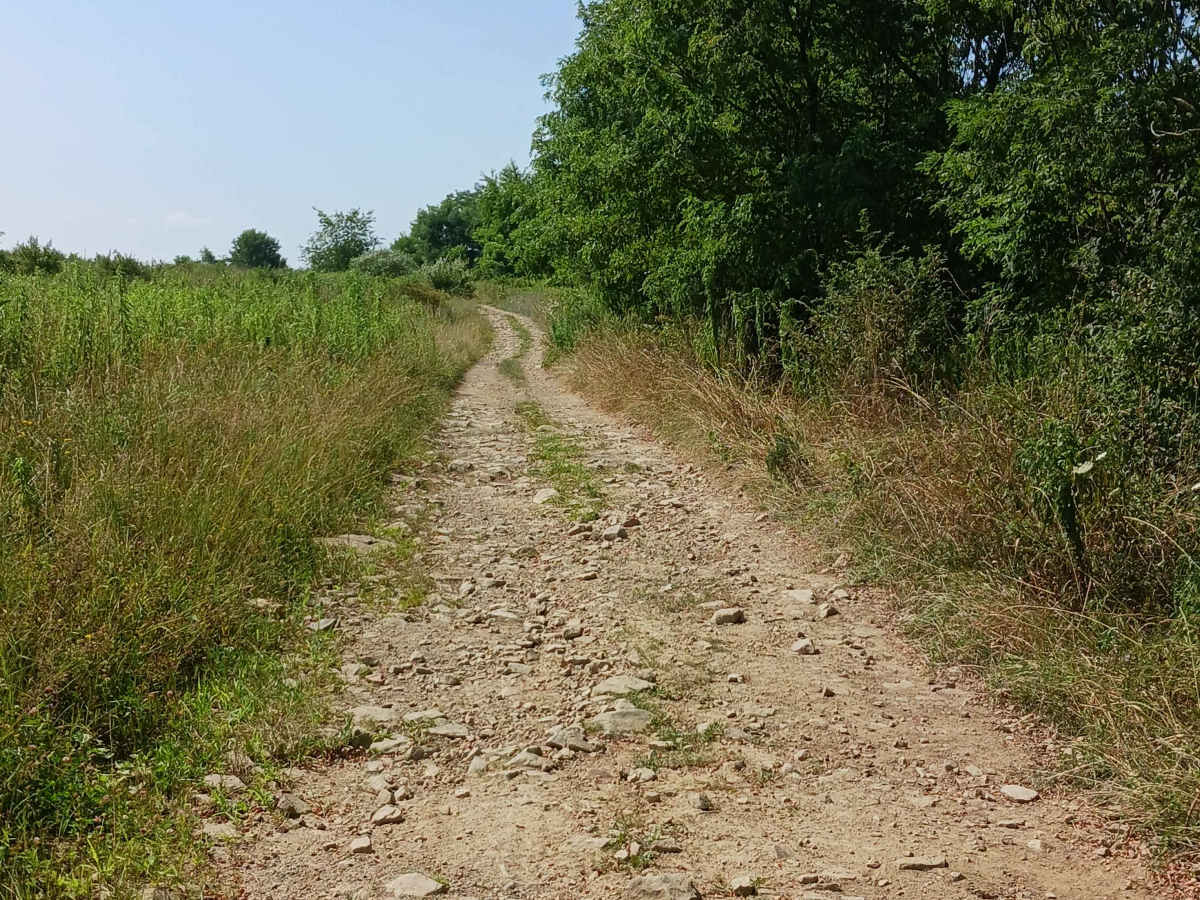 Grizzly Path - Rock Run Recreation Area photo 6