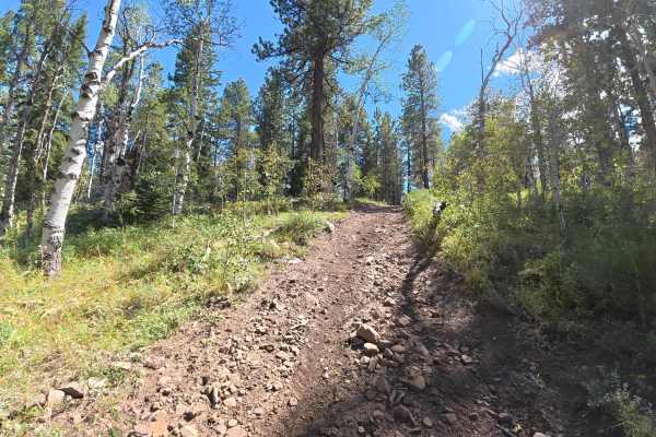 La Fair Trail