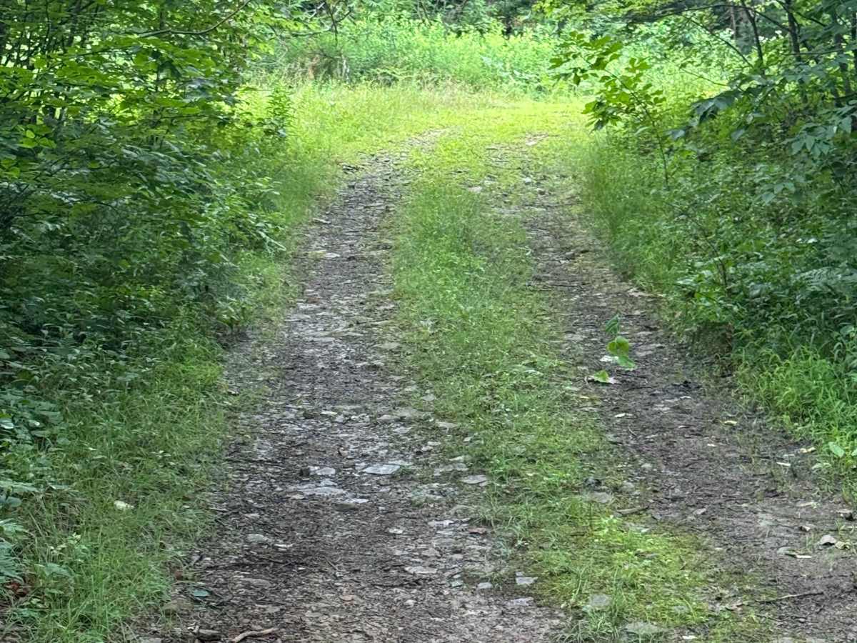 Trail 65 photo 2