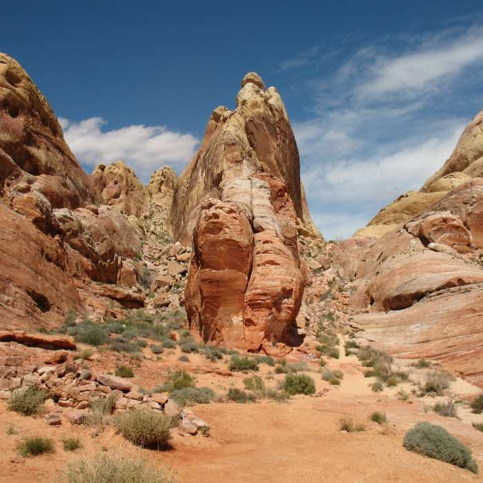 Valley of Fire glory. Near White Domes Loop