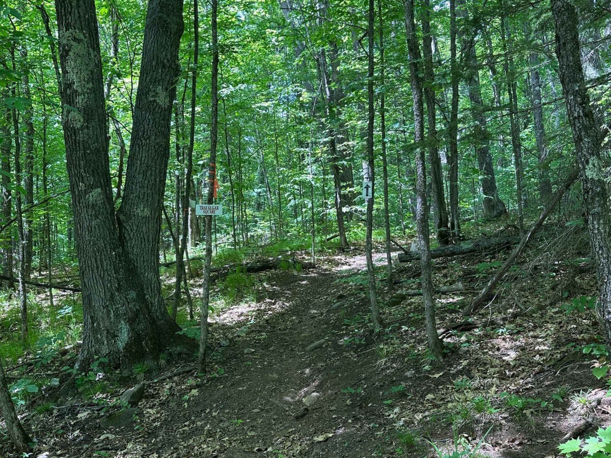 Trafalgar Square trail photo