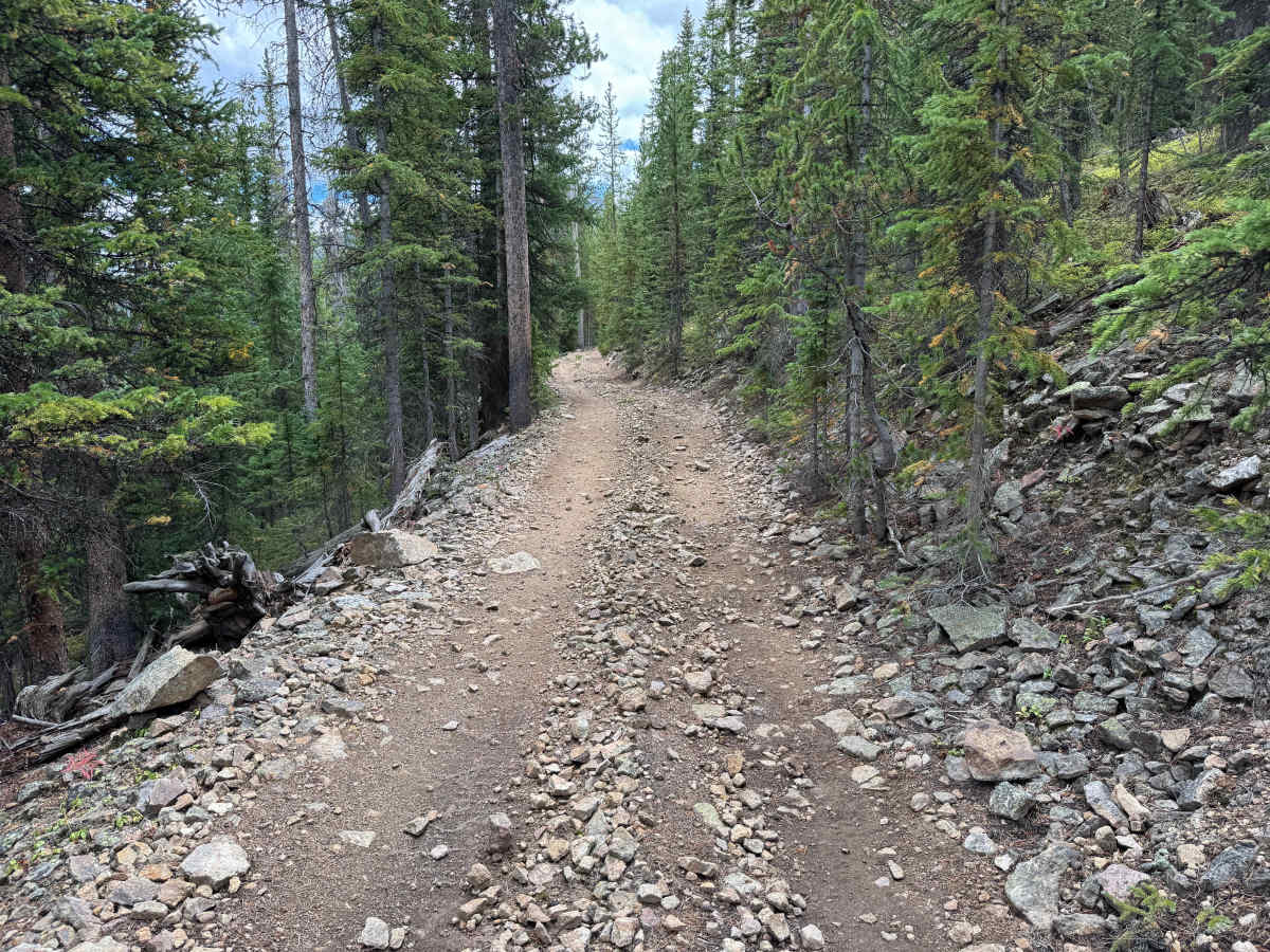 Georgia Gulch Road photo 4