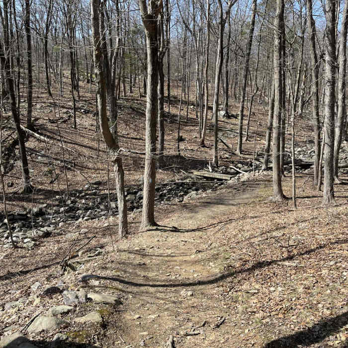 Near Apshawa Preserve Loop Near Apshawa Preserve Loop