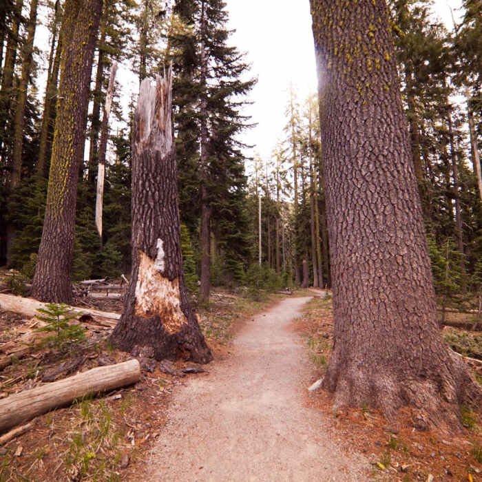 Near Plaikni Falls Trail
