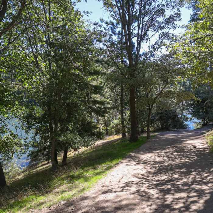 Near Lake Gregory Loop