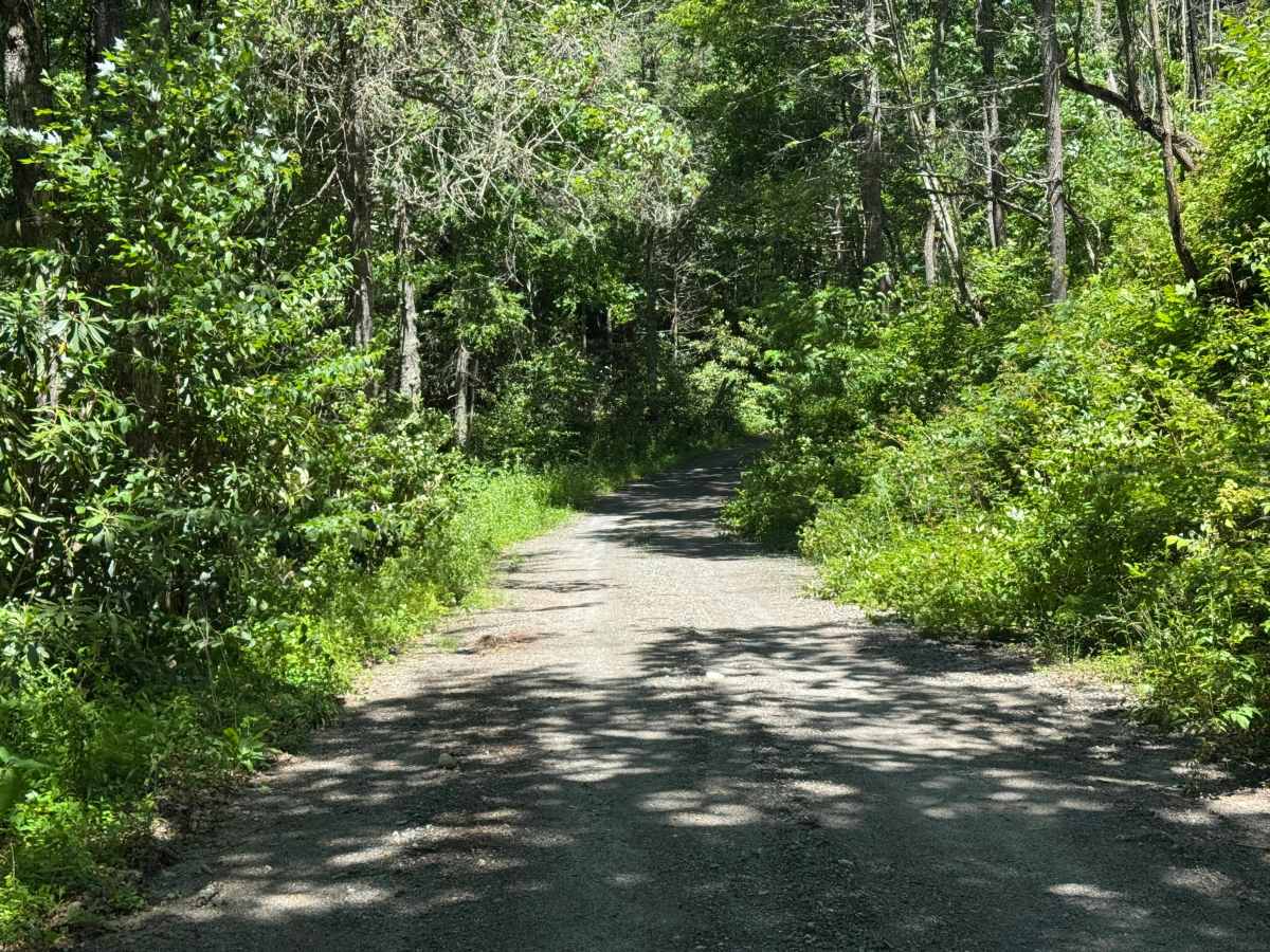 Rock Bridge Road - SR 1140 photo 6