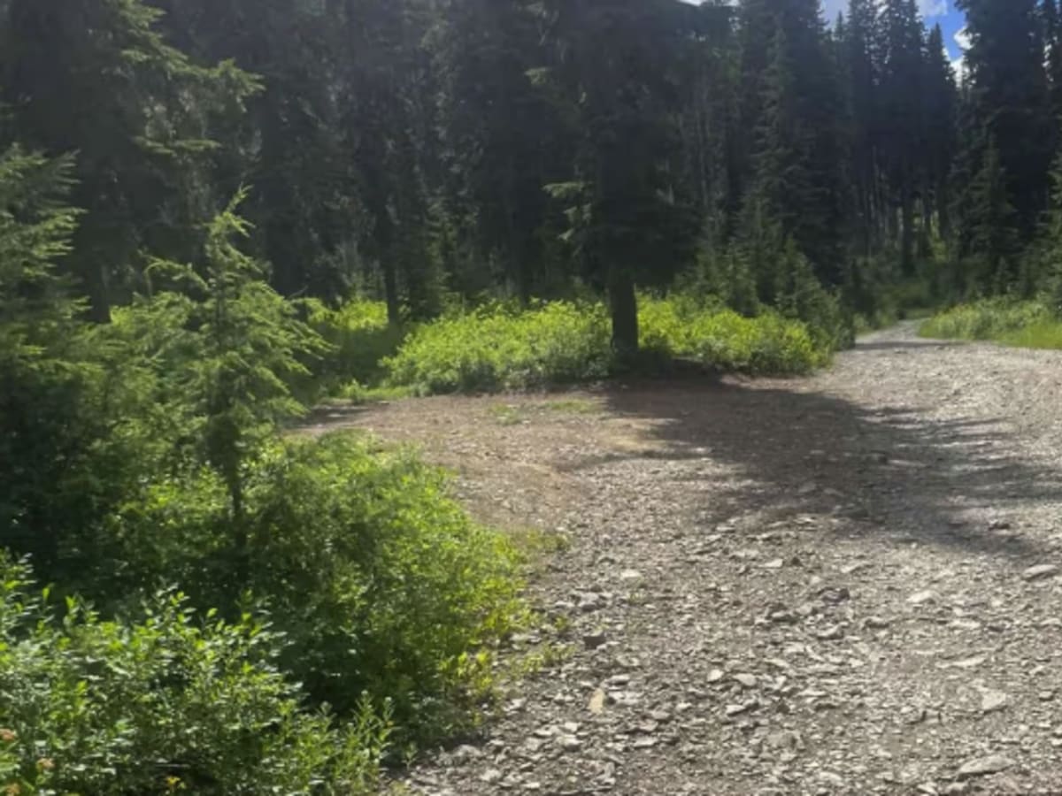 Lower Glidden Lake photo 6