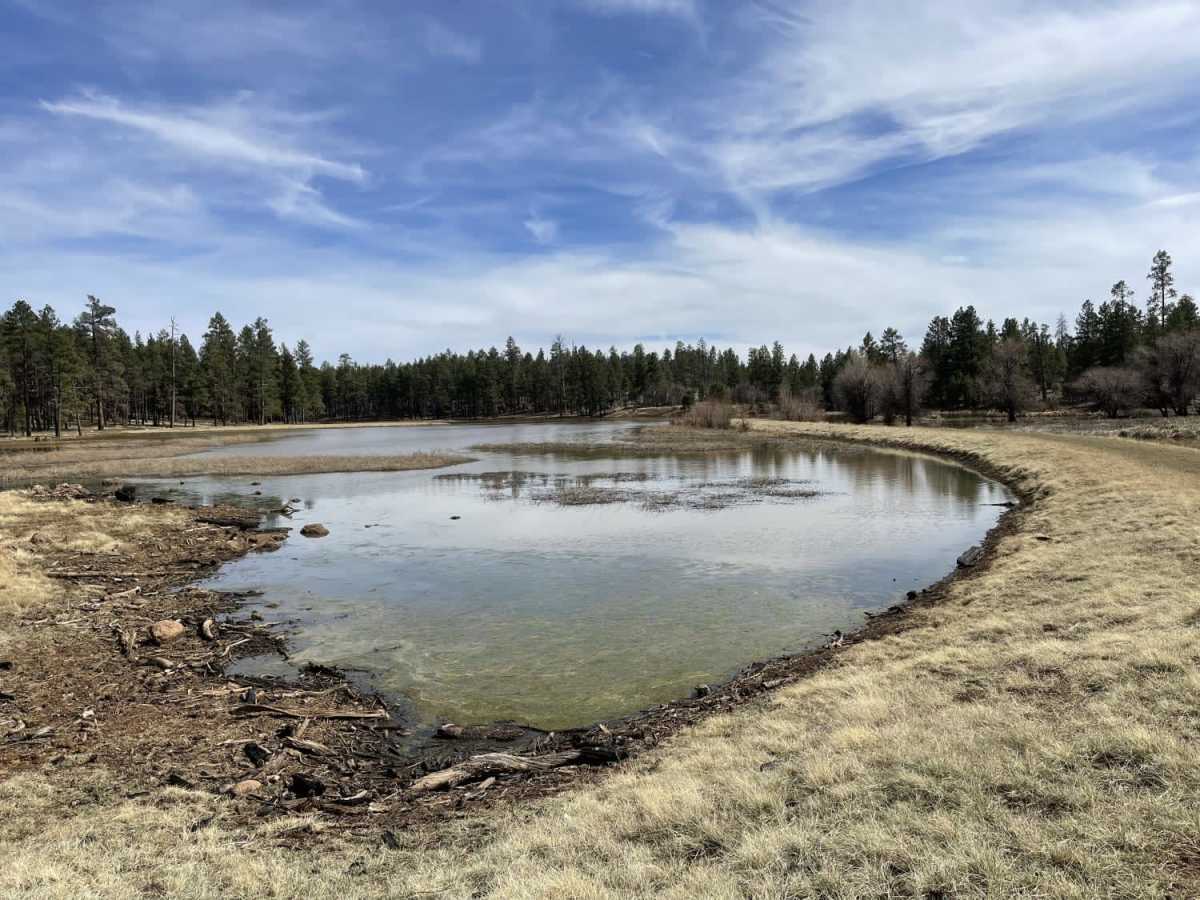 JD Dam Lake photo 4