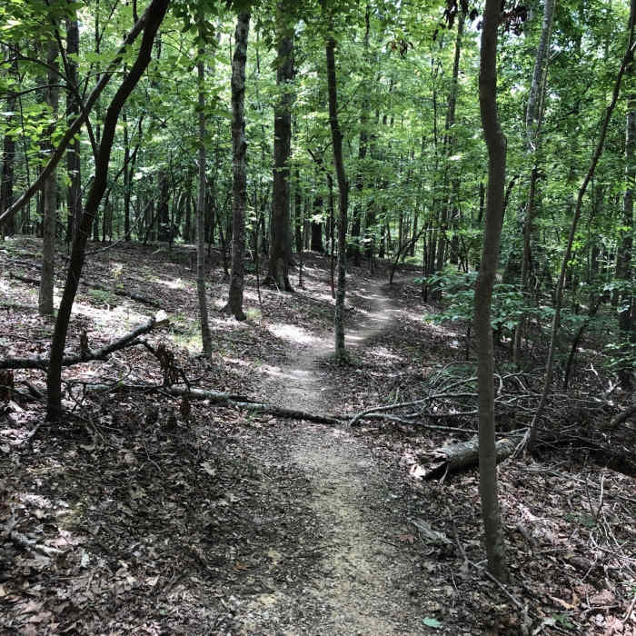 Lovely walk relatively flat. Even in 95 degree heat the canopy made it at least 10 degrees cooler. Near Horton Grove Nature Preserve Loop