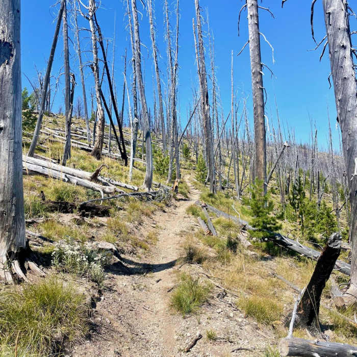 Near Continental Divide Trail: Montana-Idaho Section 12