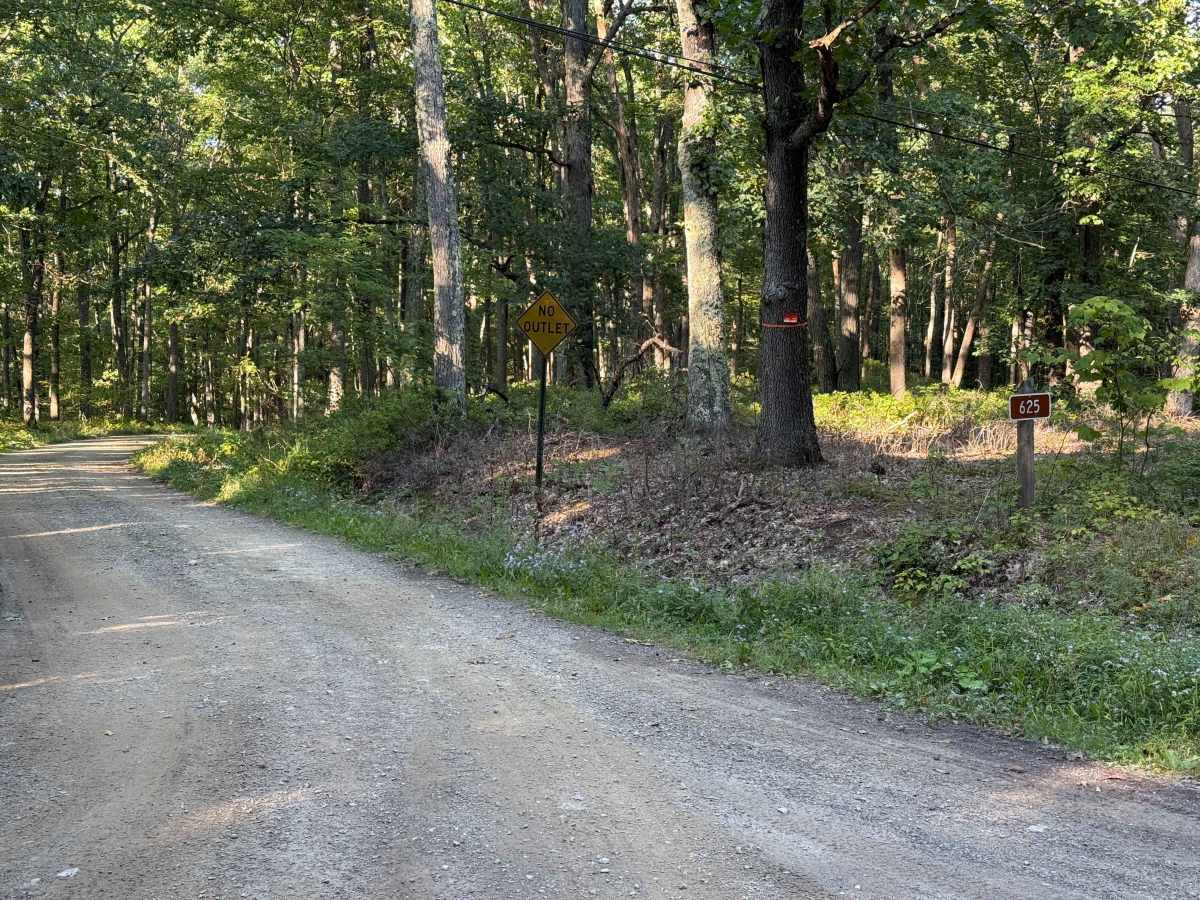 Brothwell Run - FS 625 trail photo
