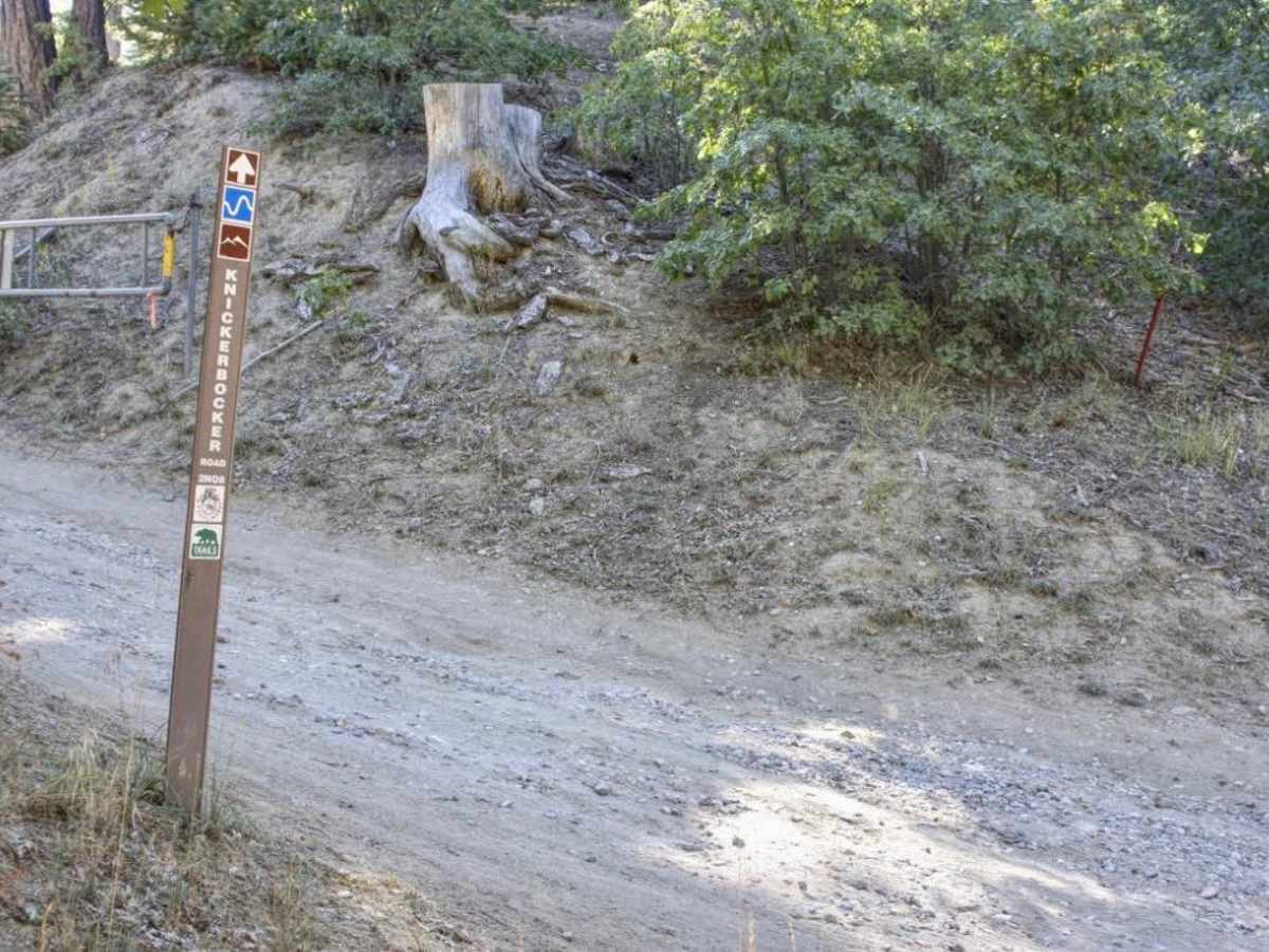 Knickerbocker - FS 2N08 trail photo