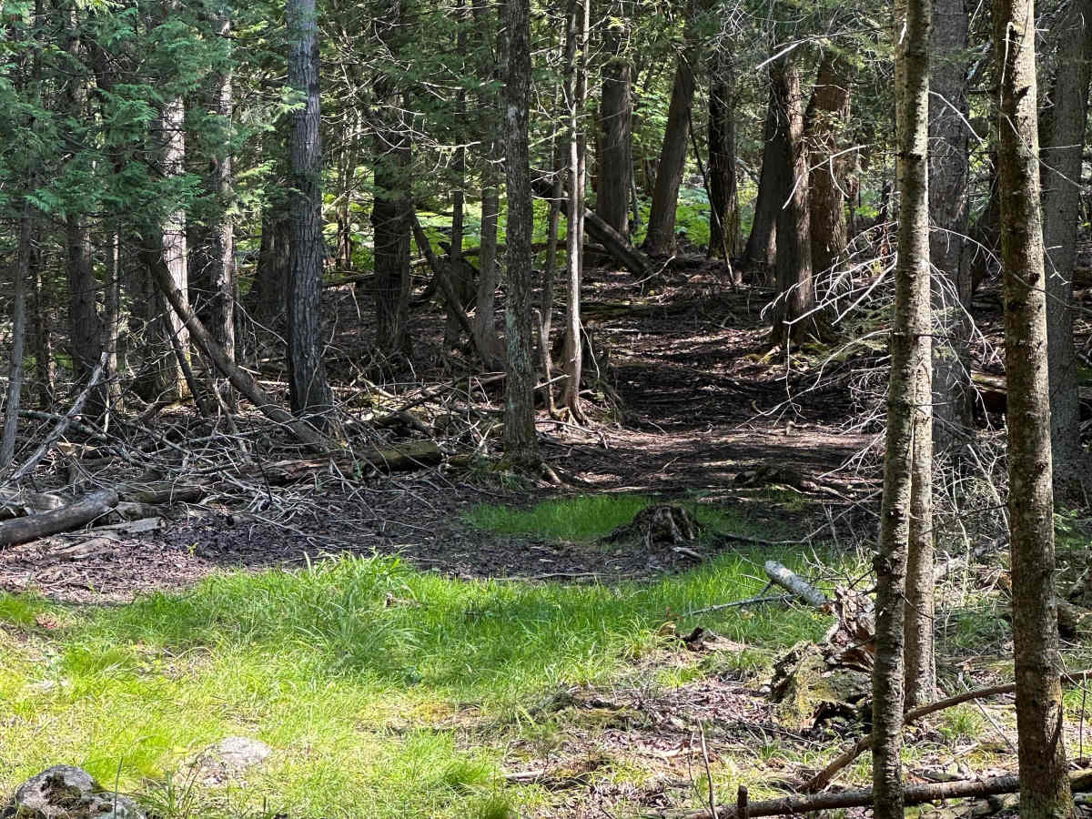 Less Traveled  photo 5