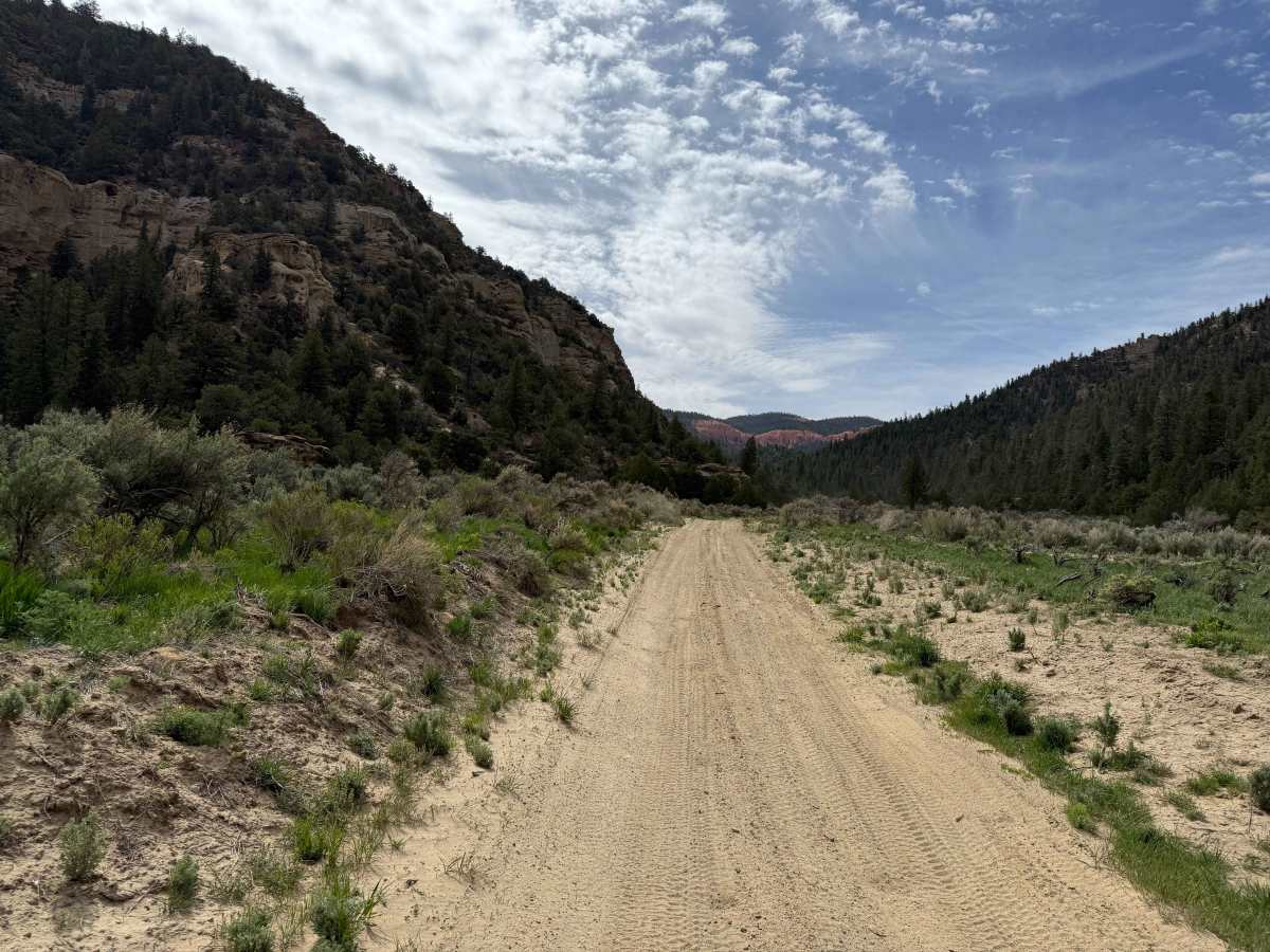 Proctor Canyon - FS 30109 photo 2