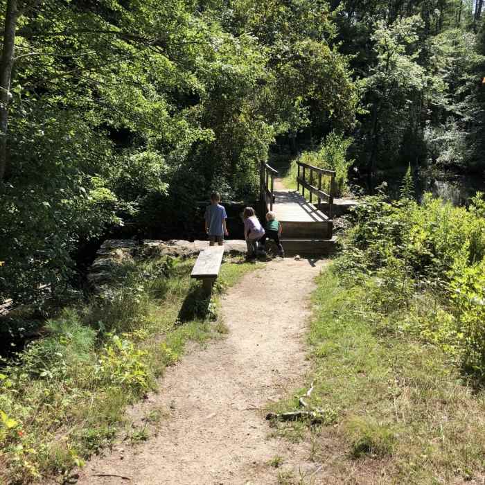 Near Blue Trail