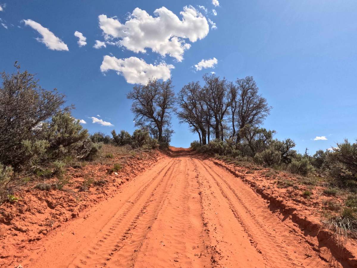 BLM 42 photo 2