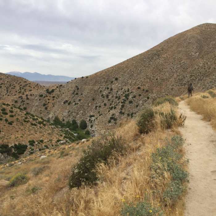 Near Deep Creek Loop