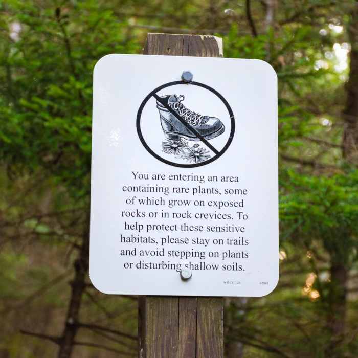 Near Welch-Dickey Mountain Loop Near Welch-Dickey Mountain Loop