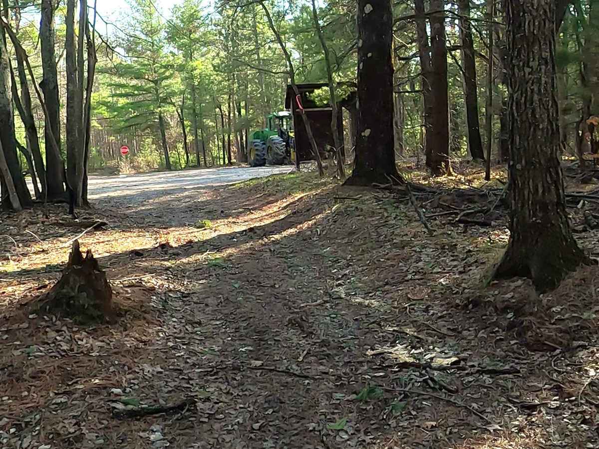 ORV H-57 : Mack Lake Motorized Trail photo 2