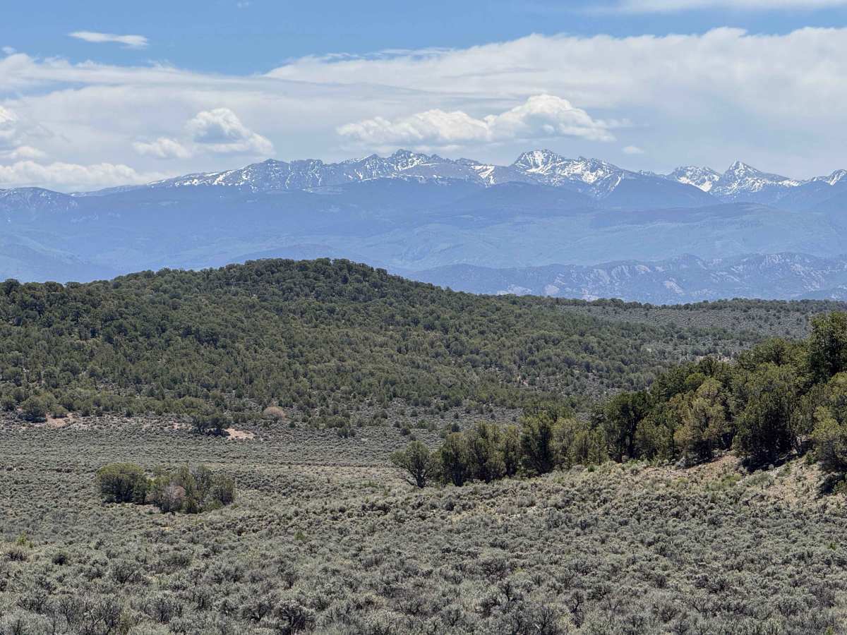 BLM 8474 photo 2