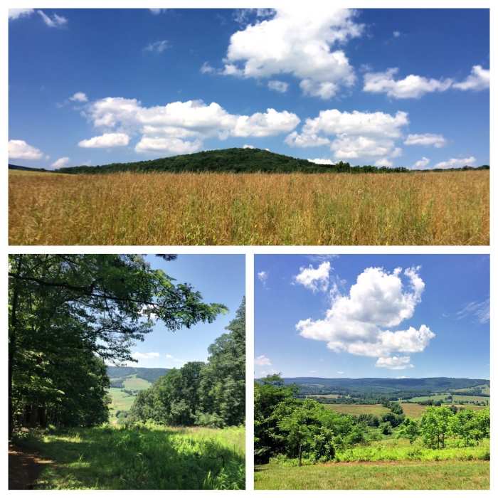 Near Sky Meadows - East Side Trails Loop