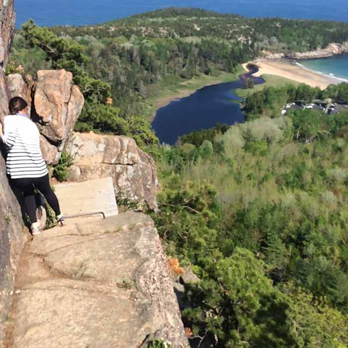 Trail conditions and walking path. Near Beehive Trail