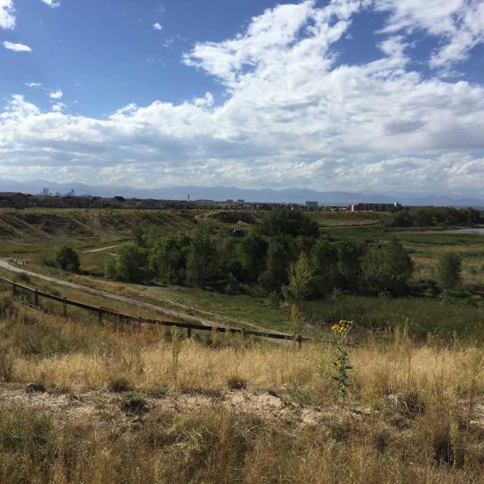 The Bluff Lake Loop Near Bluff Lake Trail
