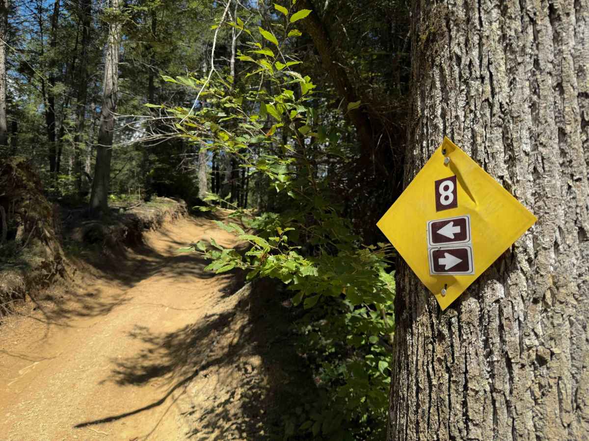 Jennings Creek Trail 8  photo 6