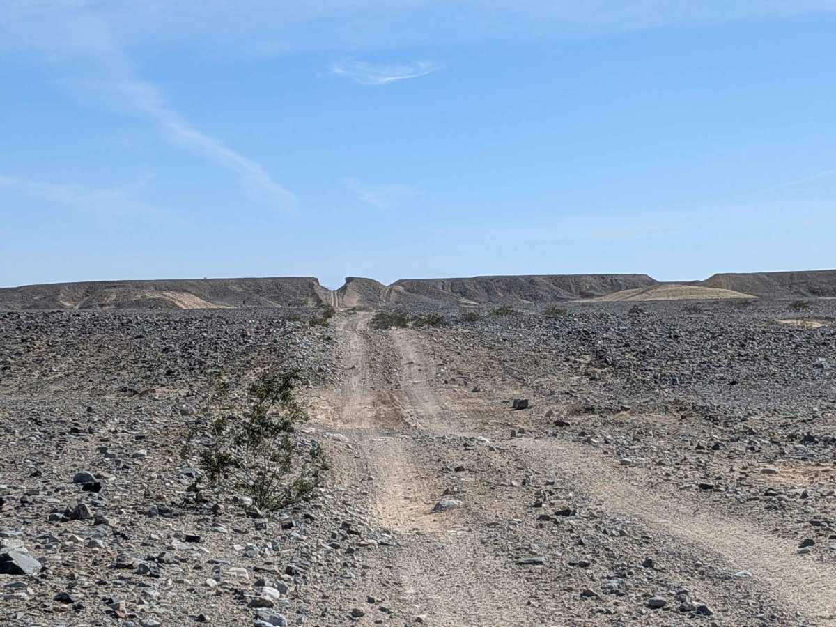 BLM 079 photo 5