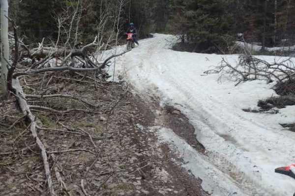 Wickiup
