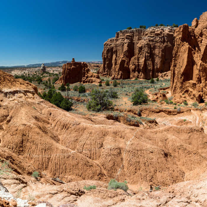 Near Panorama Trail - Main Loop