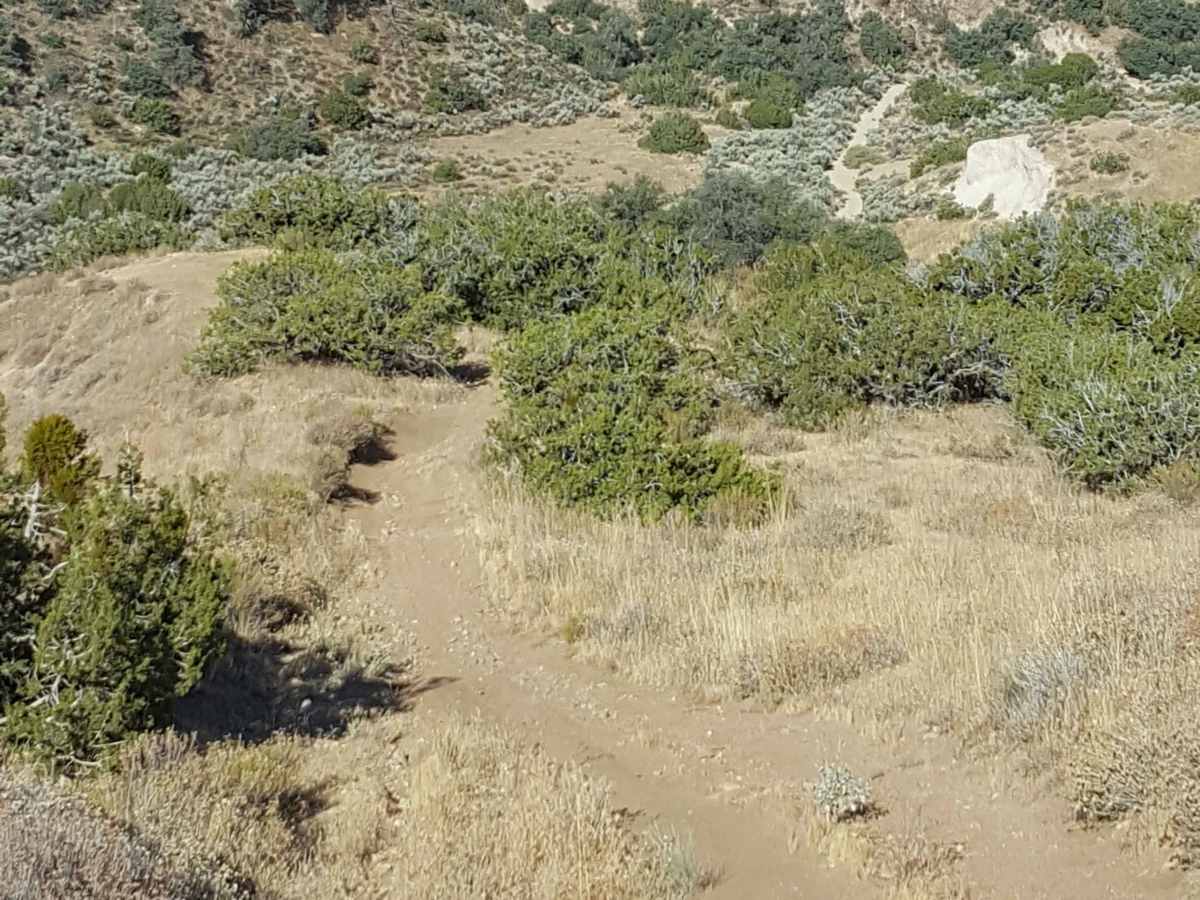 Trail 19 photo 3