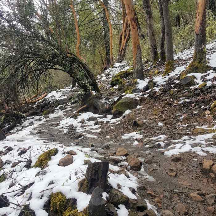 Near Upper Table Rock Trail