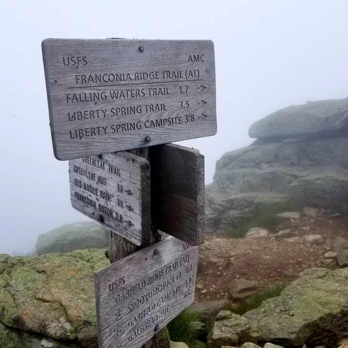 Near Old Bridle Path