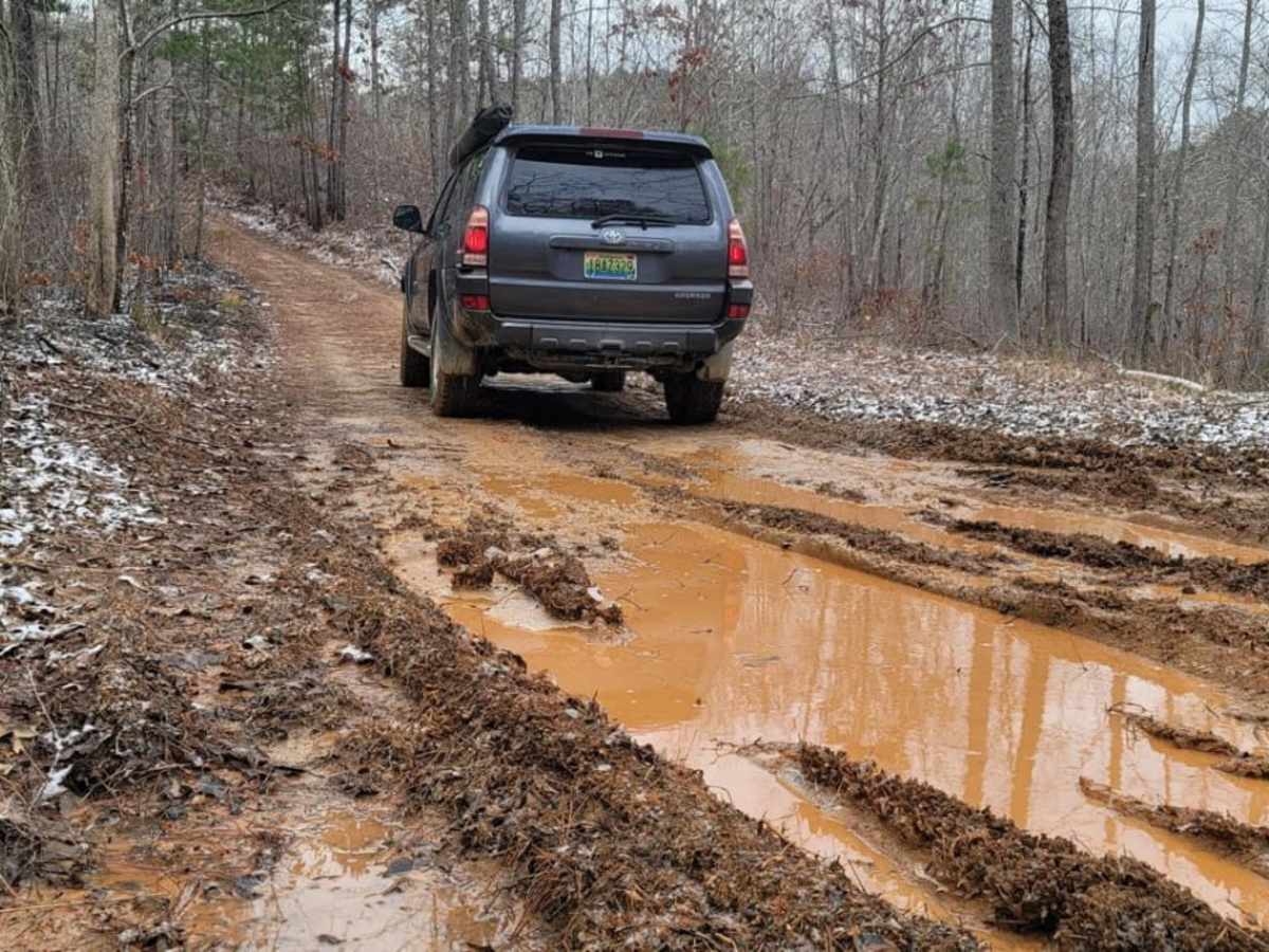 USFSR #537A trail photo