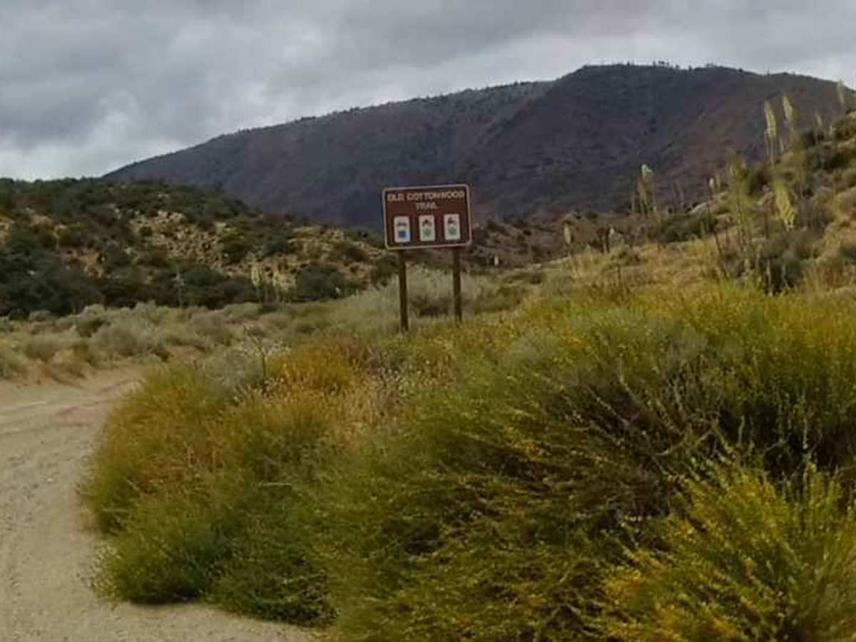 Old Cottonwood Trail trail photo